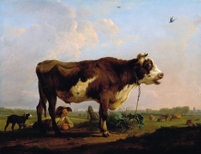 Un toro da Balthasar Paul Ommeganck